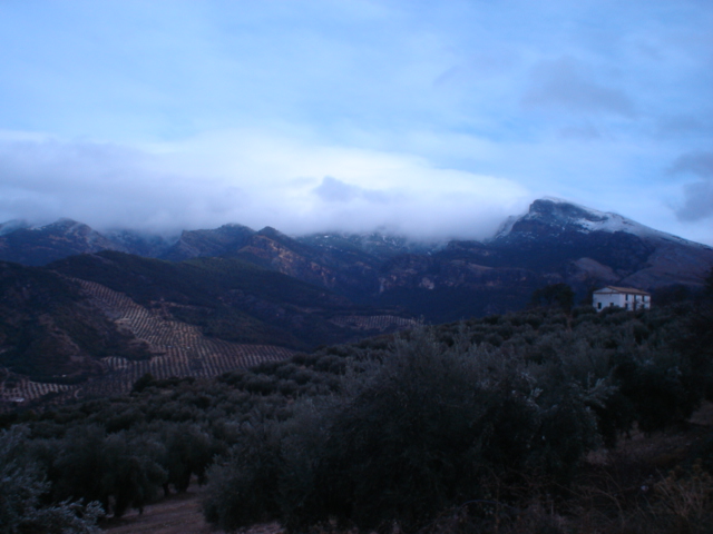 DSC04604.JPG